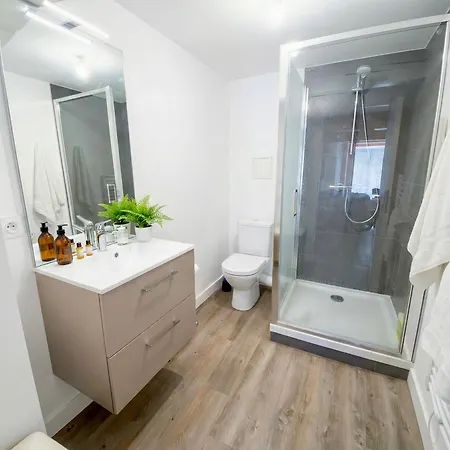 Maison Des Alpes Acces Station Les 2 Alpes 1h Grenoble Vakantiehuis Vénosc